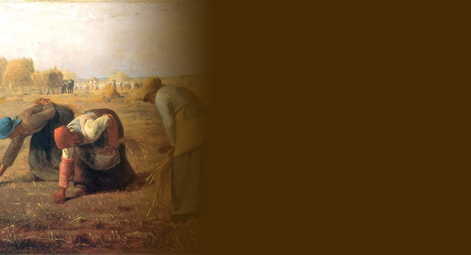 The Book of Ruth