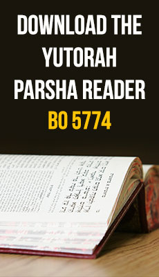 YUTorah reader for Parshat Bo